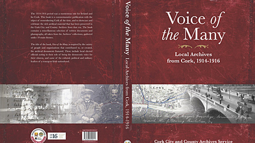 voice-of-the-many-local-archives-cover